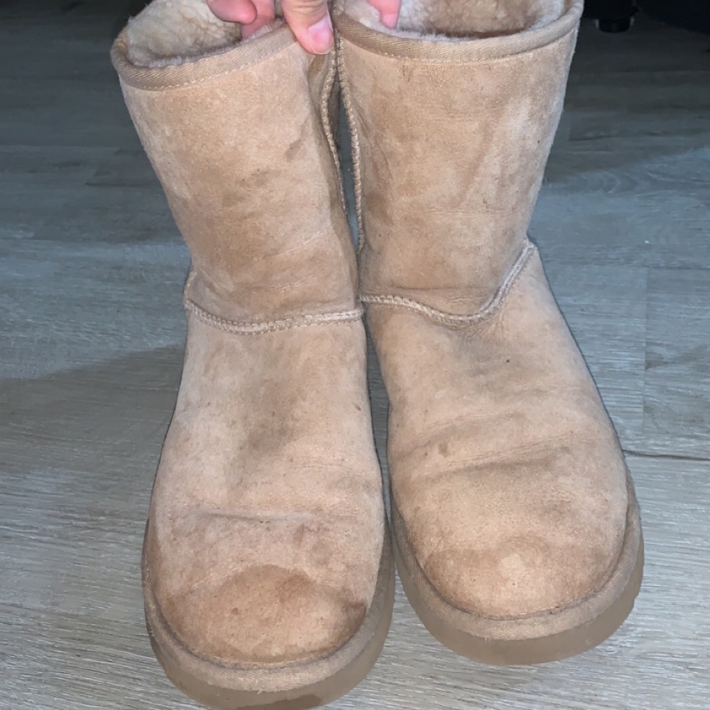 Tan Sparkle Uggs - Picture 4 of 6